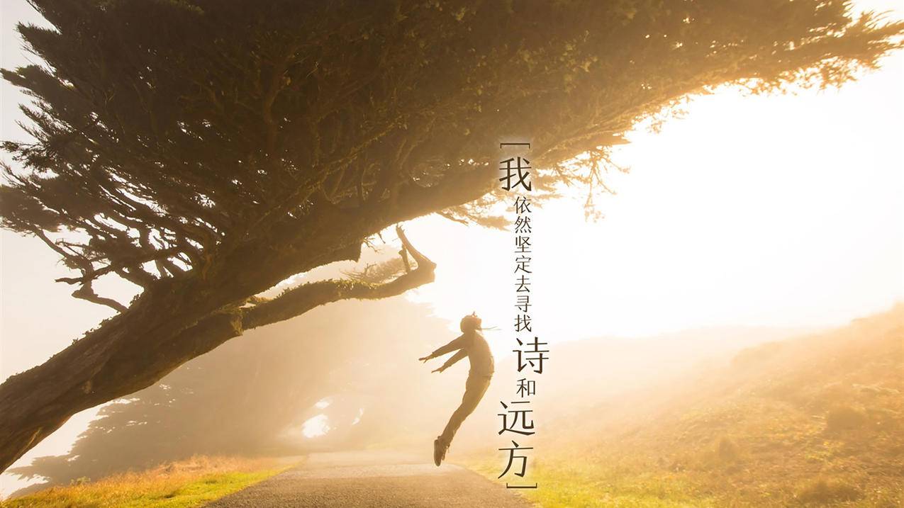 哔哩刷粉-自动互赞-QQ刷说说浏览